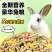 兔兔主粮兔粮宠物兔子饲料兔子粮食幼兔兔粮荷兰猪饲料豚鼠兔