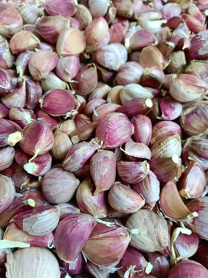 云南红皮蒜红香蒜紫皮红蒜今年新货大理产地直发一手货源