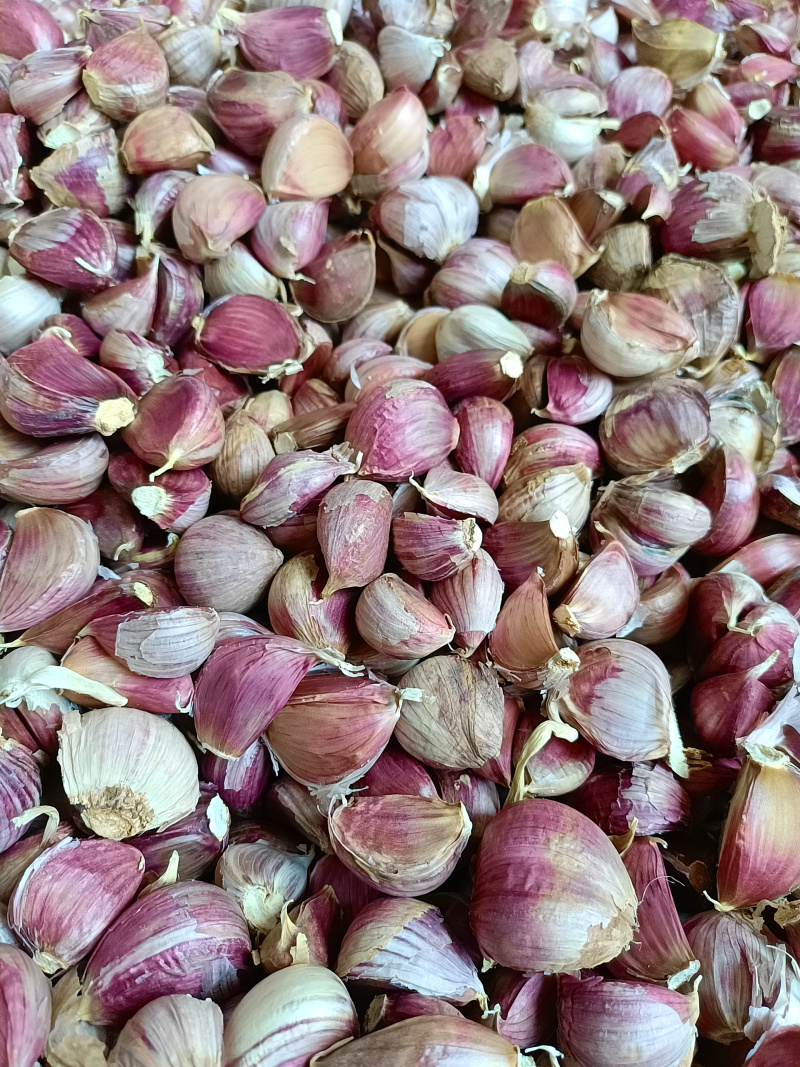 云南红皮蒜红香蒜紫皮红蒜今年新货大理产地直发一手货源