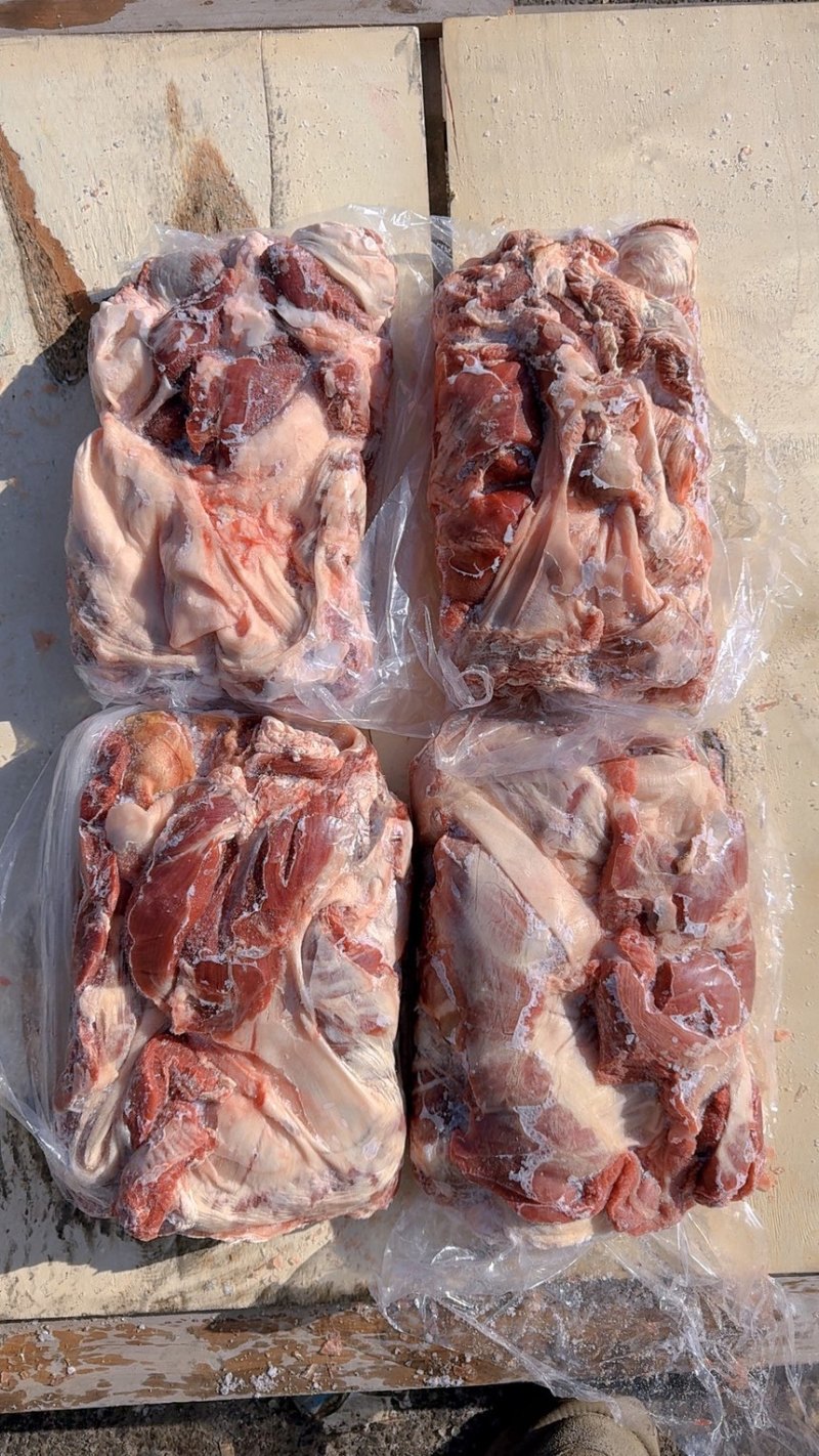 护心肉（母猪干货一件4版）整个护心肉不是肉头，稳定供应
