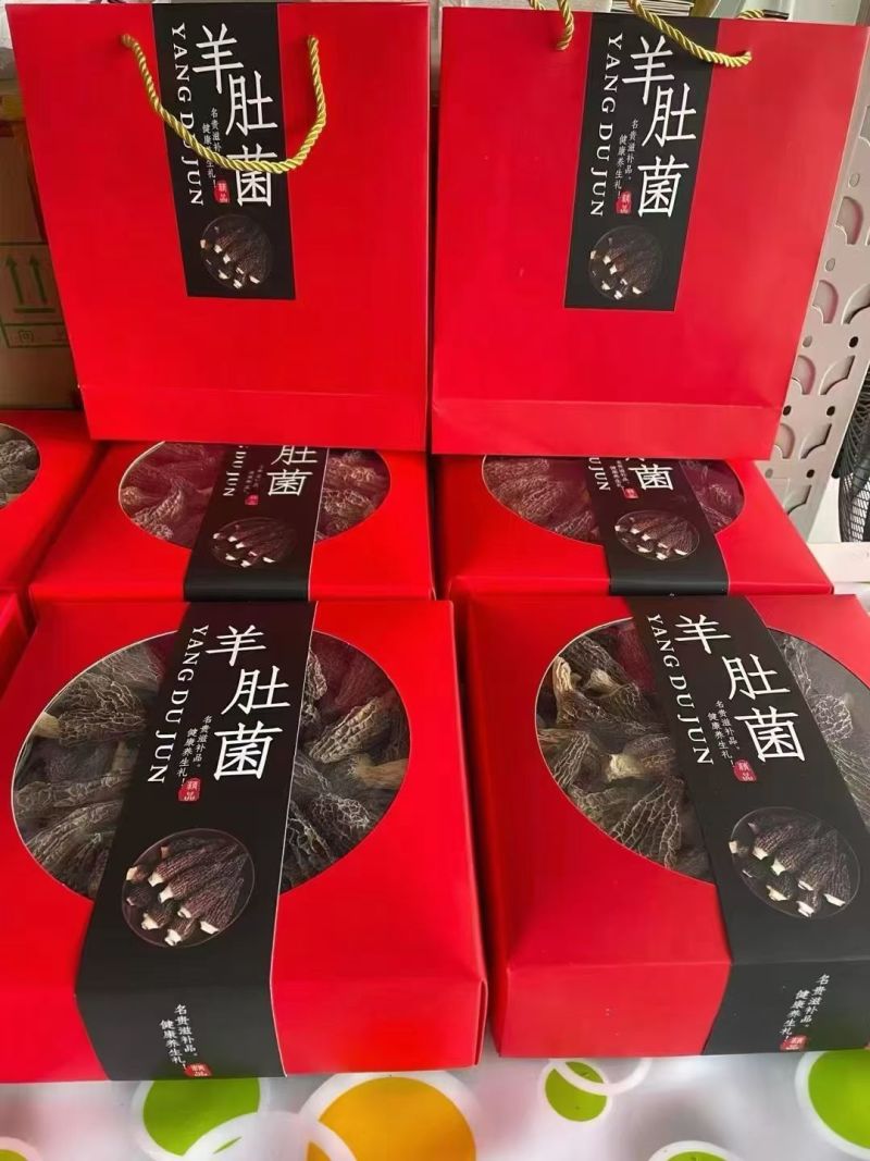 羊肚菌