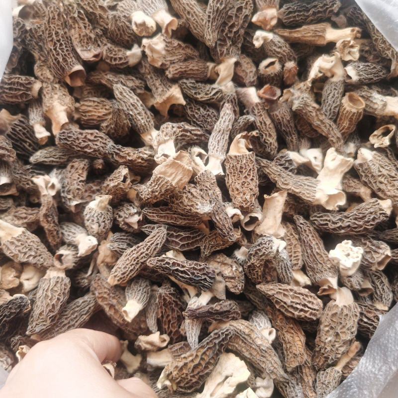 基地直发，规格齐全，欢迎订购