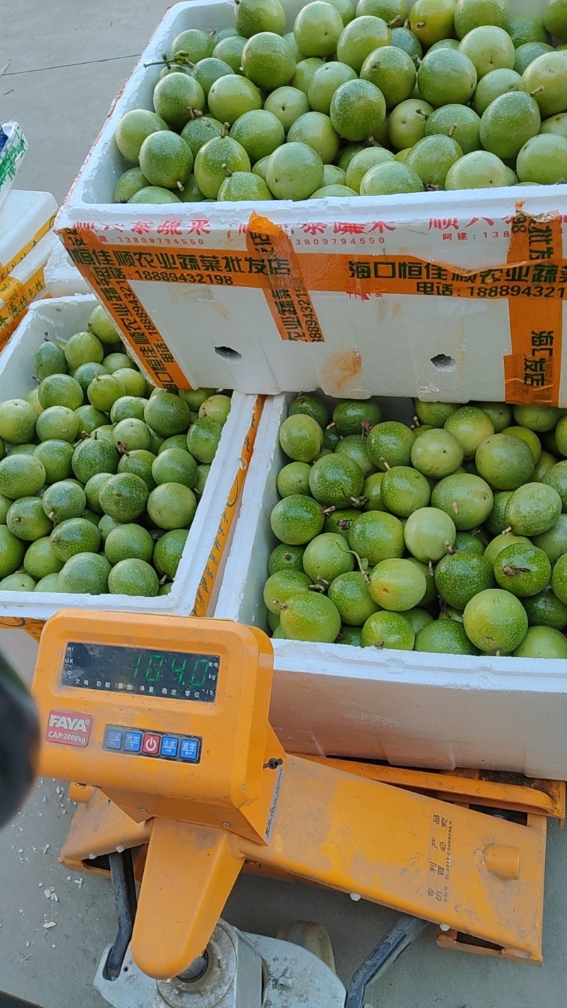 广东省湛江原产地钦蜜九号百香果代收代办
