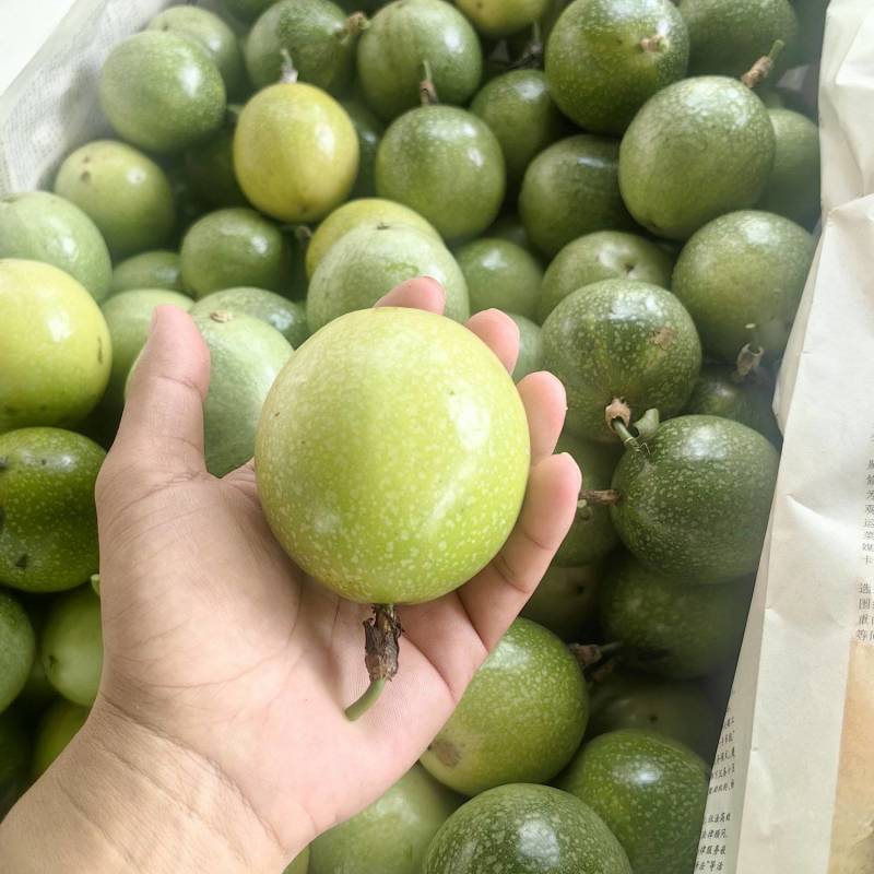 钦蜜9号黄金百香果