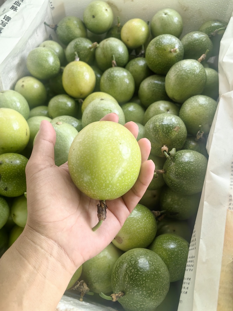 钦蜜9号黄金百香果