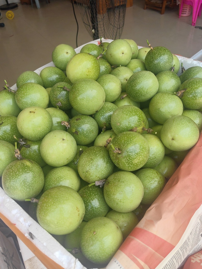 钦蜜9号黄金百香果