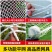 建筑工地安全防坠网安全平网高空尼龙水平兜网国标白网阻燃安