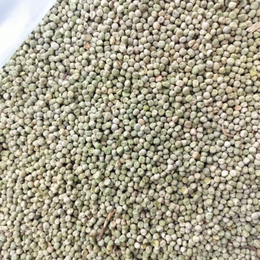 干豌豆