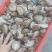 优质平泉香菇产地直发工厂用0912