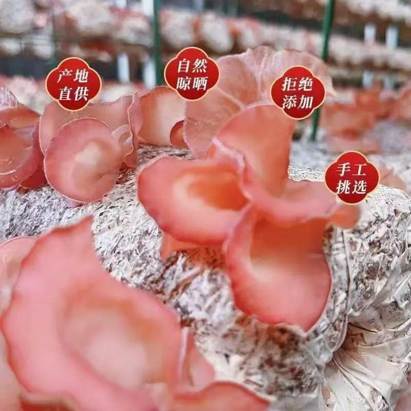 贵妃粉木耳干货250g*2袋涮火锅凉拌