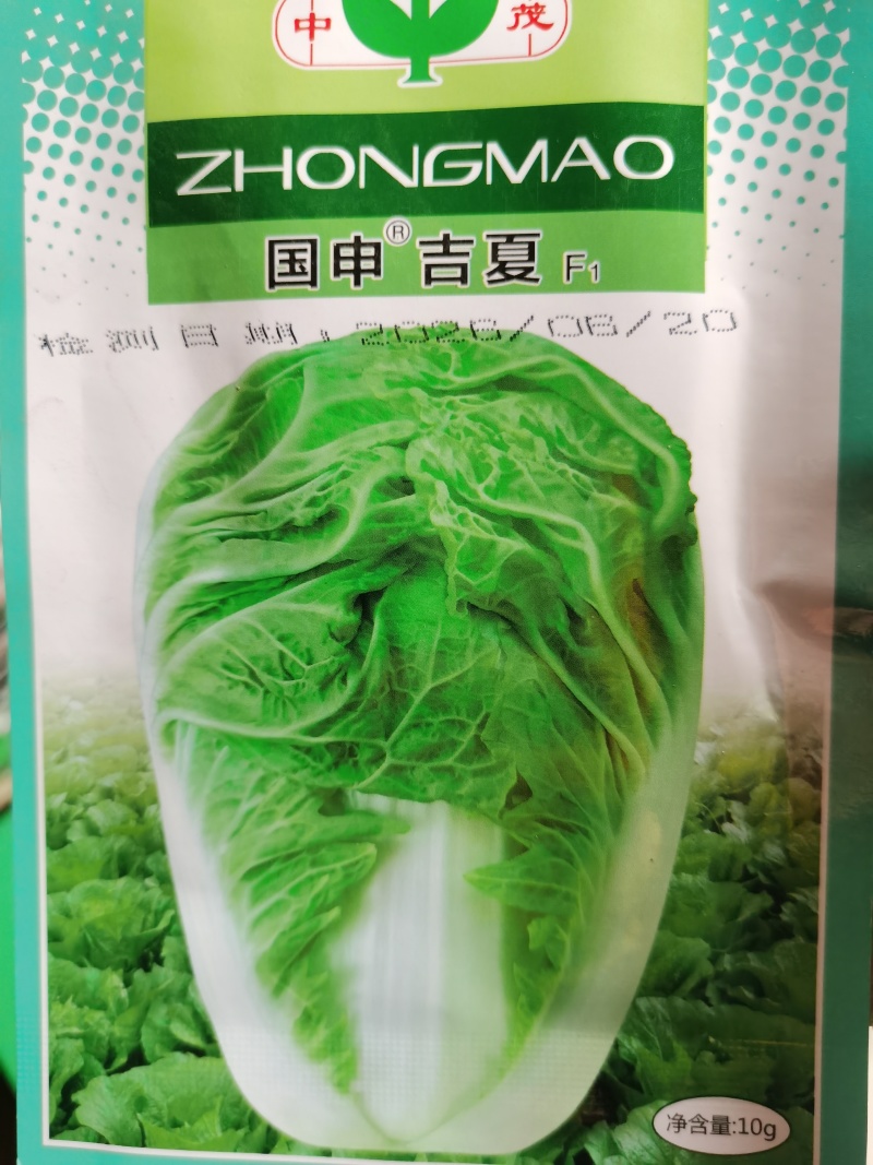 夏宝吉夏南韩绿冠抗热白菜种子抗病品质好耐热品种