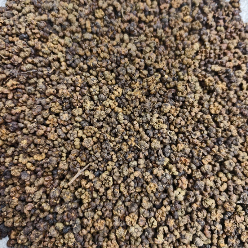 吴茱萸吴茱萸统货产地江西省药味浓郁紫轩堂药业