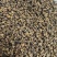 吴茱萸吴茱萸统货产地江西省药味浓郁紫轩堂药业