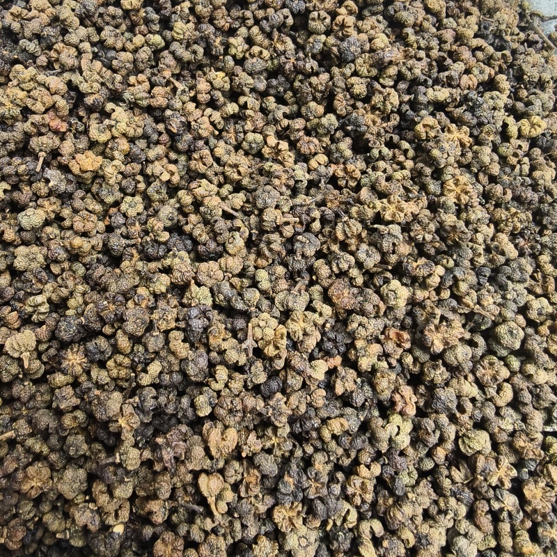 吴茱萸吴茱萸统货产地江西省药味浓郁紫轩堂药业
