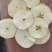 苹果干苹果干片源头工厂一手货源