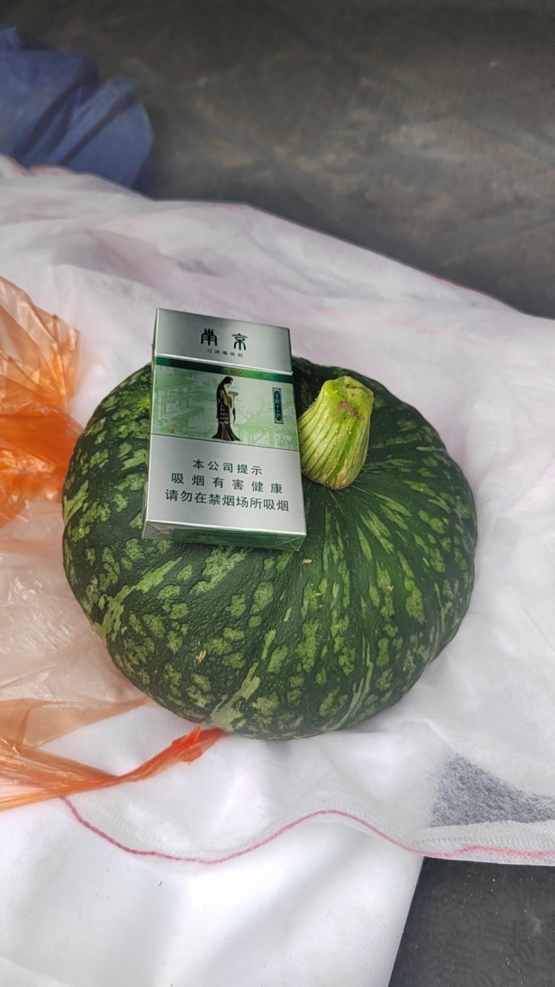 板栗南瓜