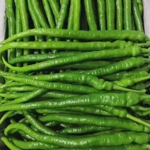 青线椒