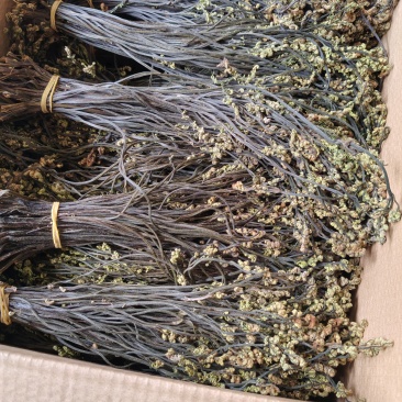 阿坝州野生***干蕨菜