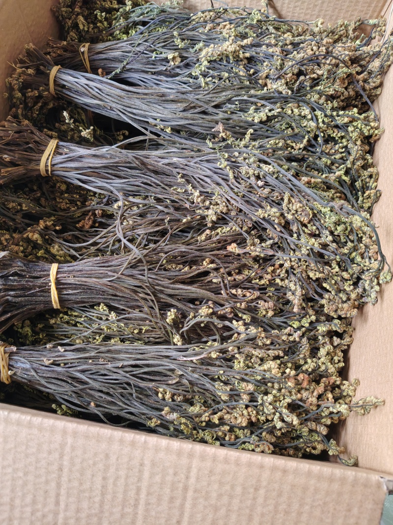 阿坝州野生***干蕨菜