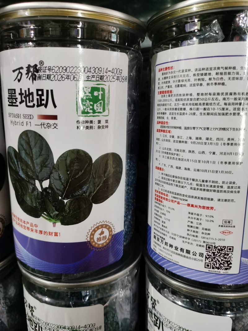 墨尔本墨西科墨地趴精品菠菜种子夏秋冬种植