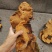 4000米高原野生桑黄