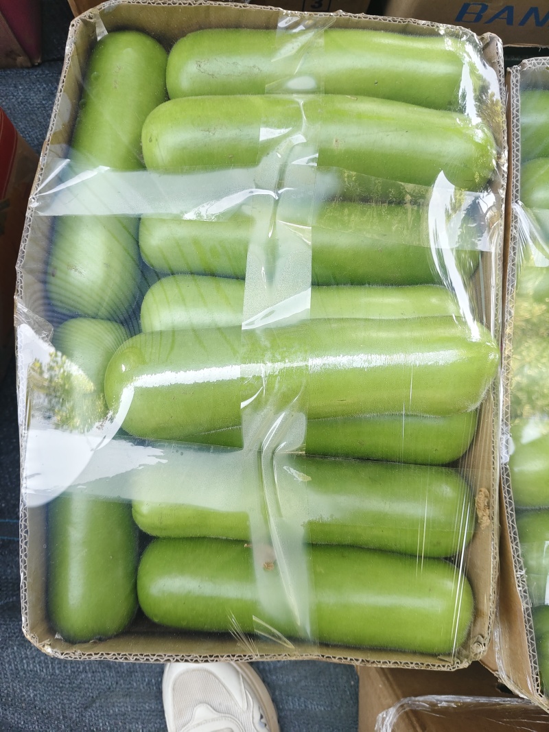 户子瓜