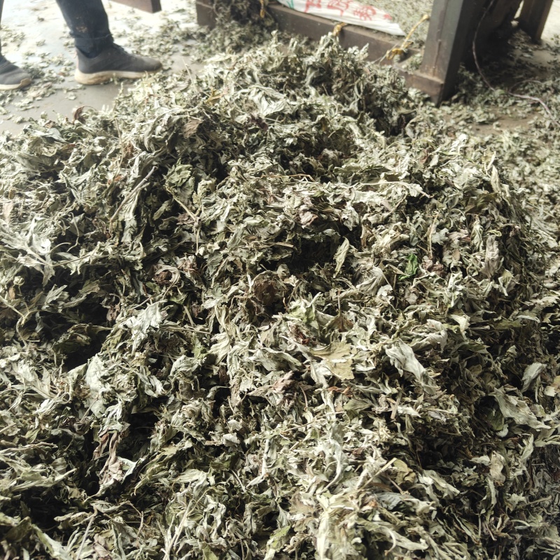 端午野生大叶艾湖北蕲艾优质无杂干艾叶产地货源批零一件代发