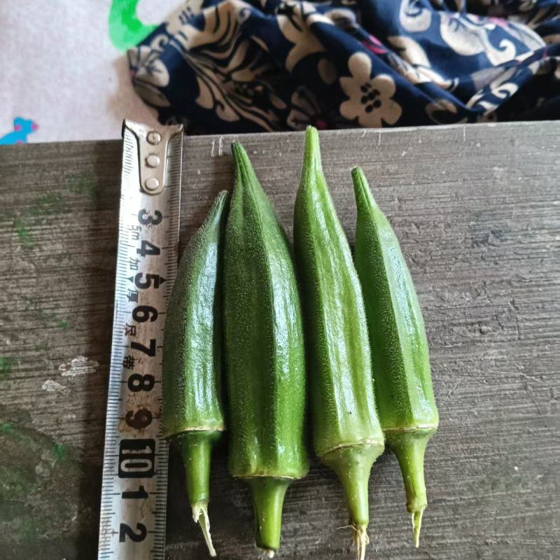 黄秋葵
