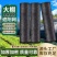 黑色遮阳网加厚特厚防晒网农用大棚庭院遮阴隔热网家用户外防