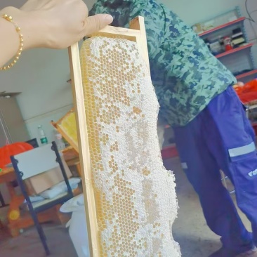蜂蜜和黄花菜