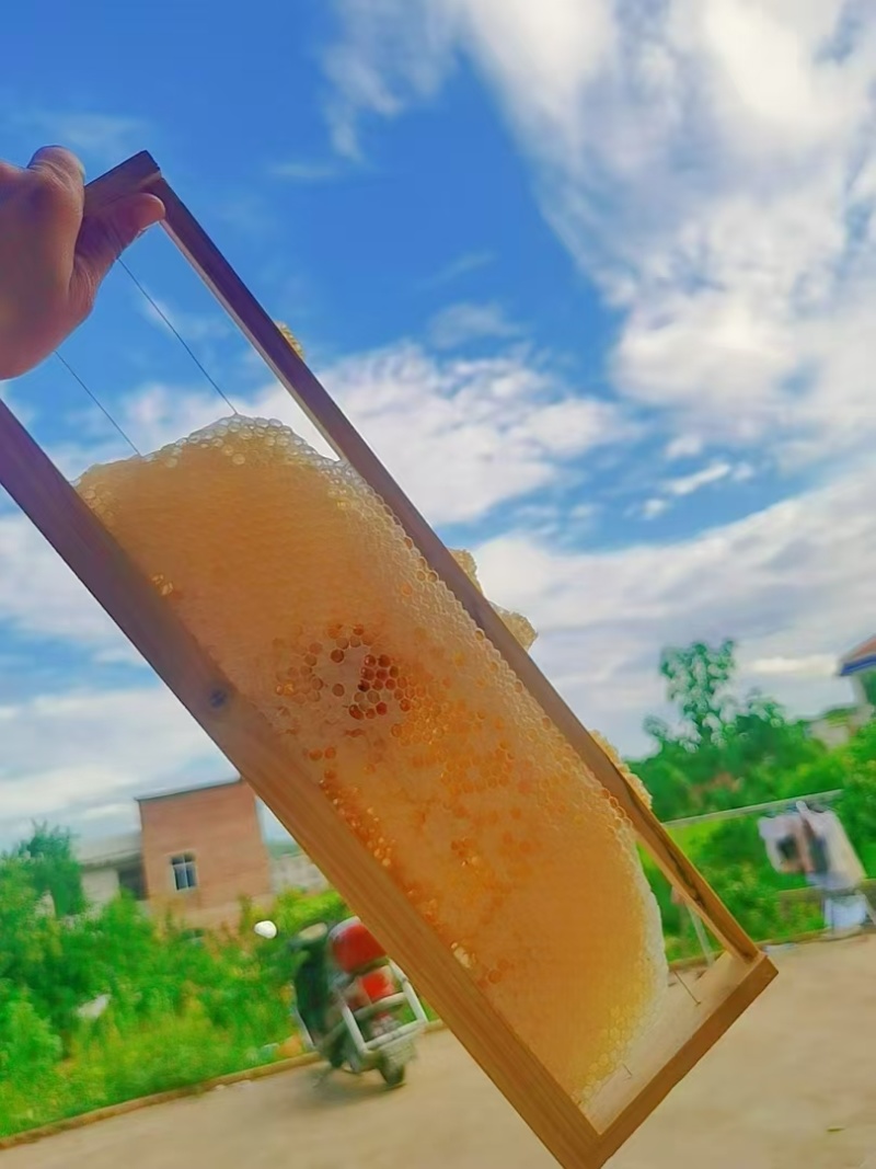 蜂蜜和黄花菜