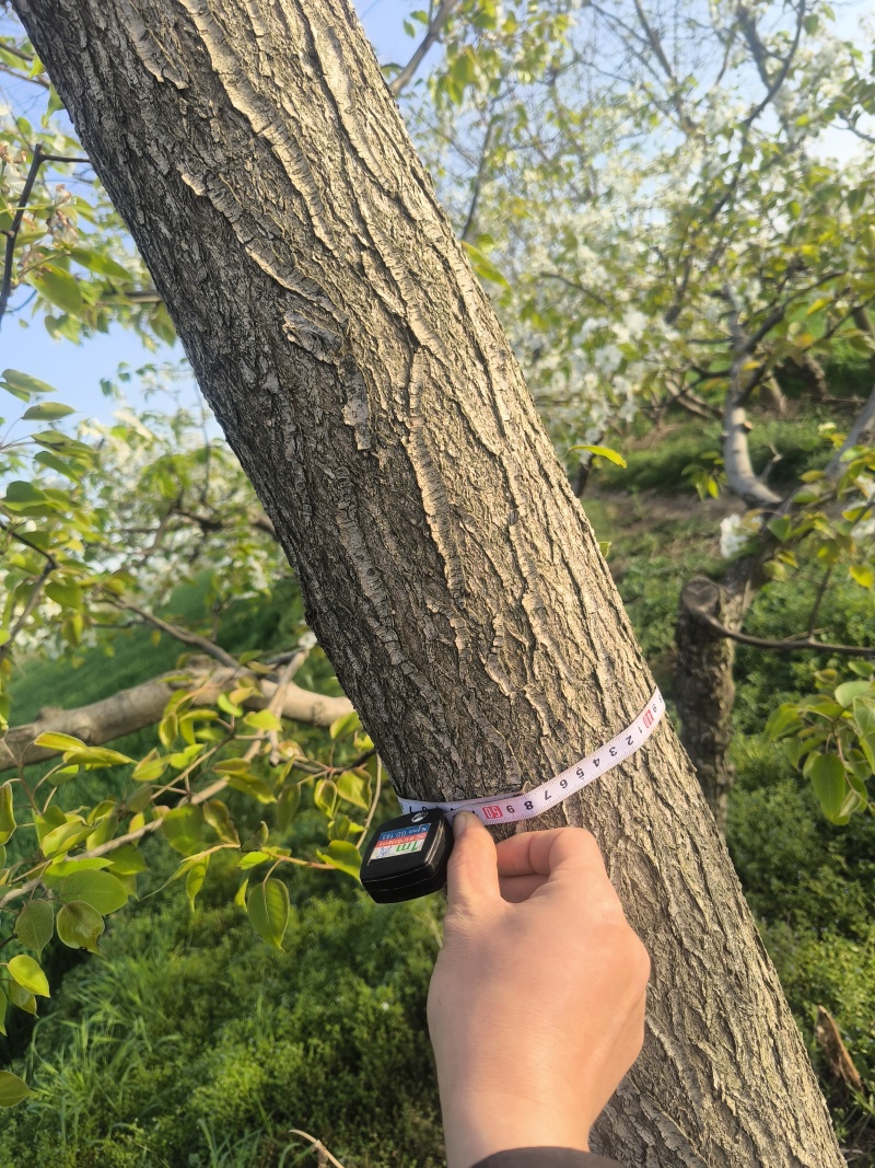 大量有货