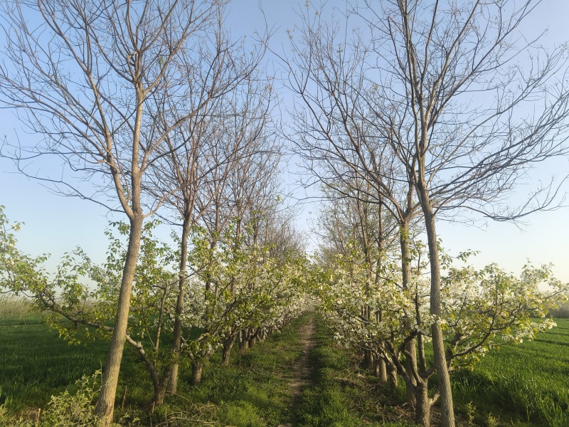 大量有货