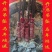 2026年十二生肖朱砂高含量吊坠福寿禄喜财