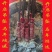 2026年十二生肖朱砂高含量吊坠福寿禄喜财