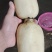 精品新藕