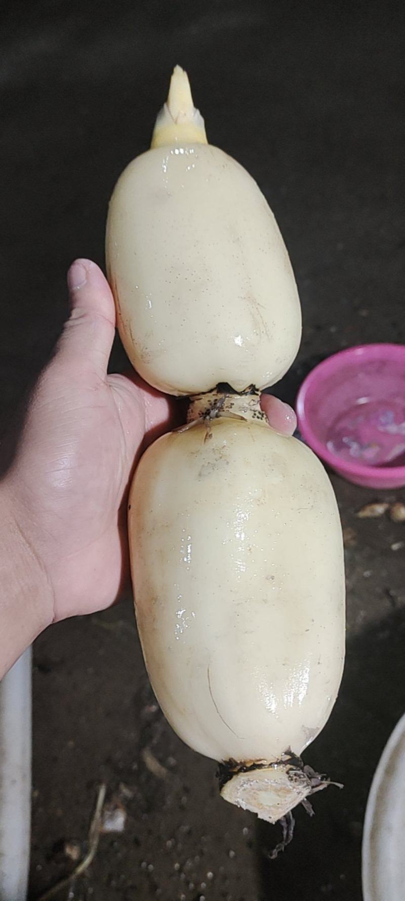 精品新藕