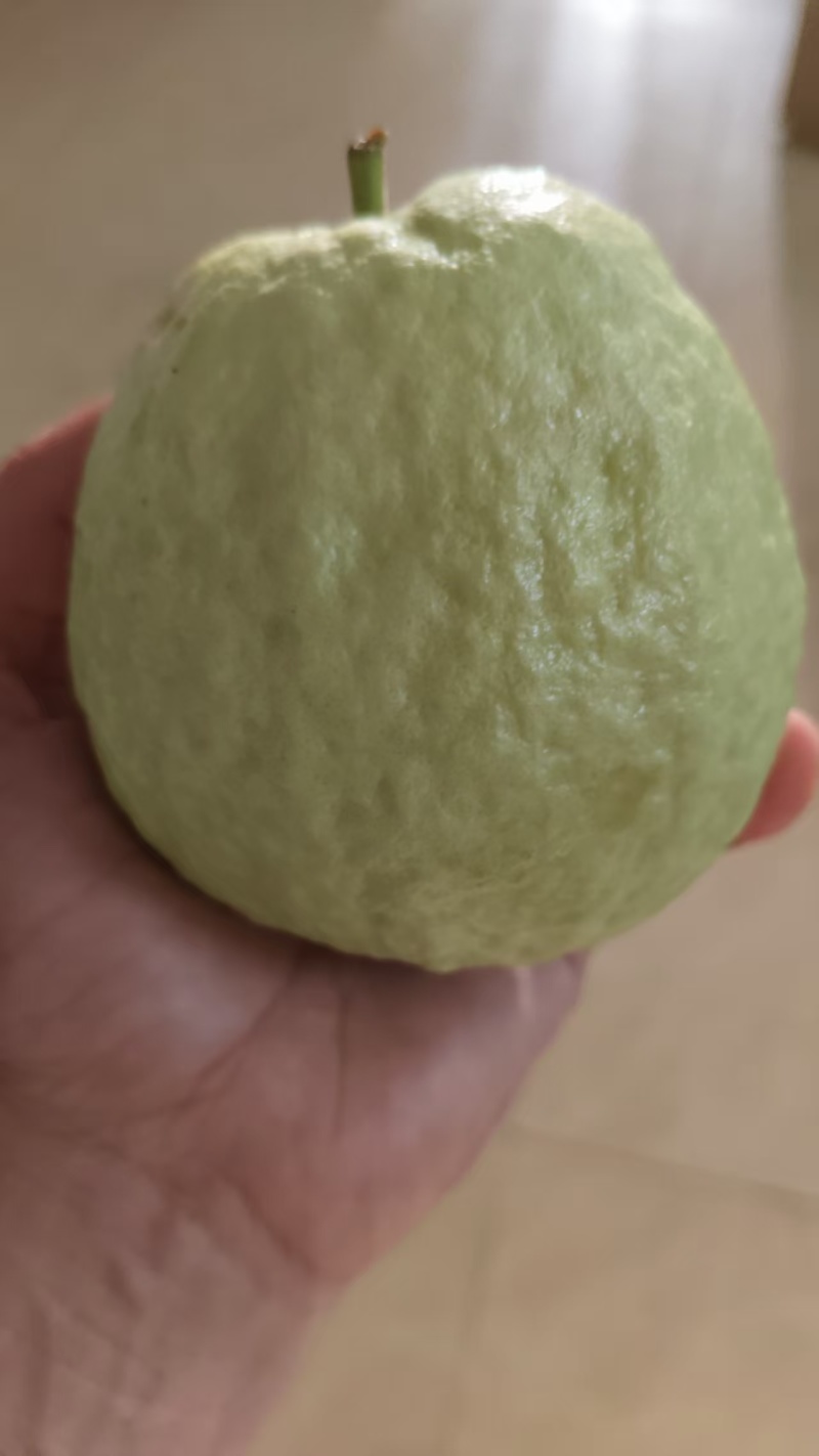 番石榴红心
