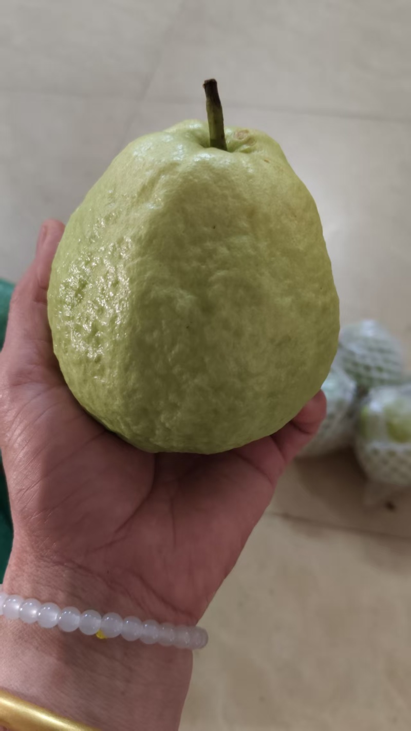 番石榴红心