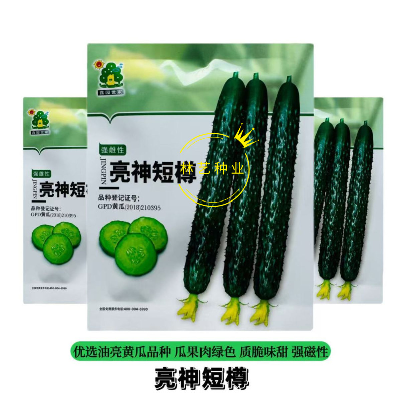 亮神短尊黄瓜种子抗病高产油亮型黄瓜种籽瓜条深绿顺直味甜脆