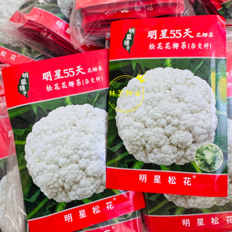 明星55天青梗花菜种子夏季播松花菜种籽早熟高产耐热抗病抗