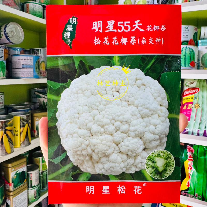 明星55天青梗花菜种子夏季播松花菜种籽早熟高产耐热抗病抗