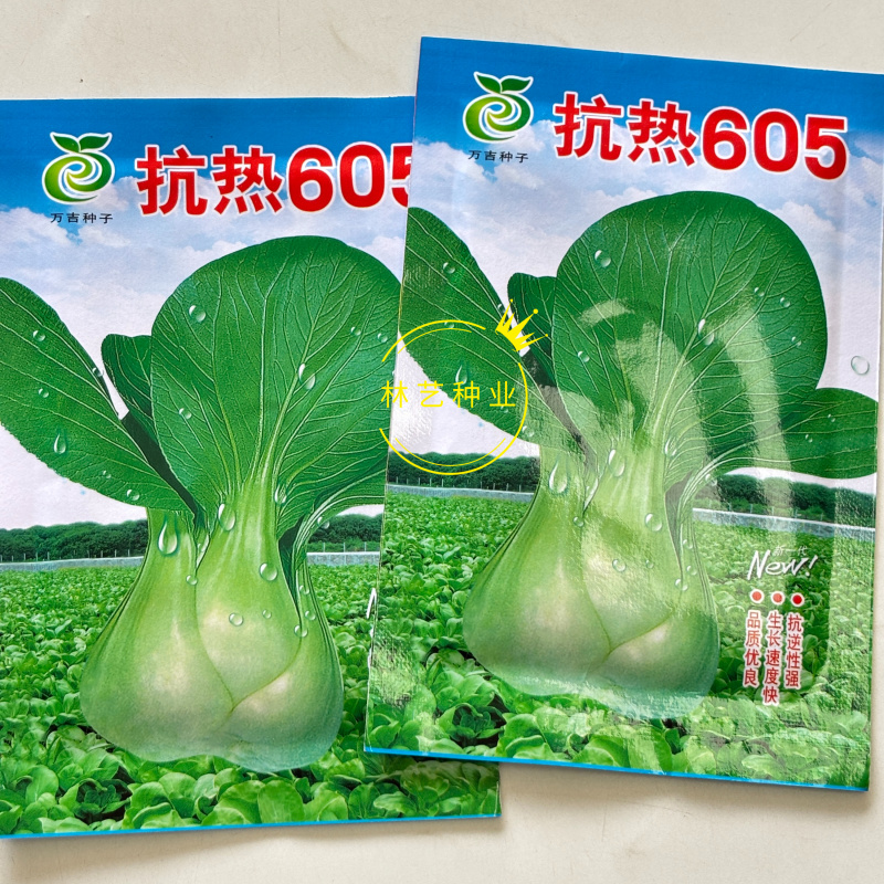 抗热605青菜种子耐热耐涝青抗病蔬菜种籽
