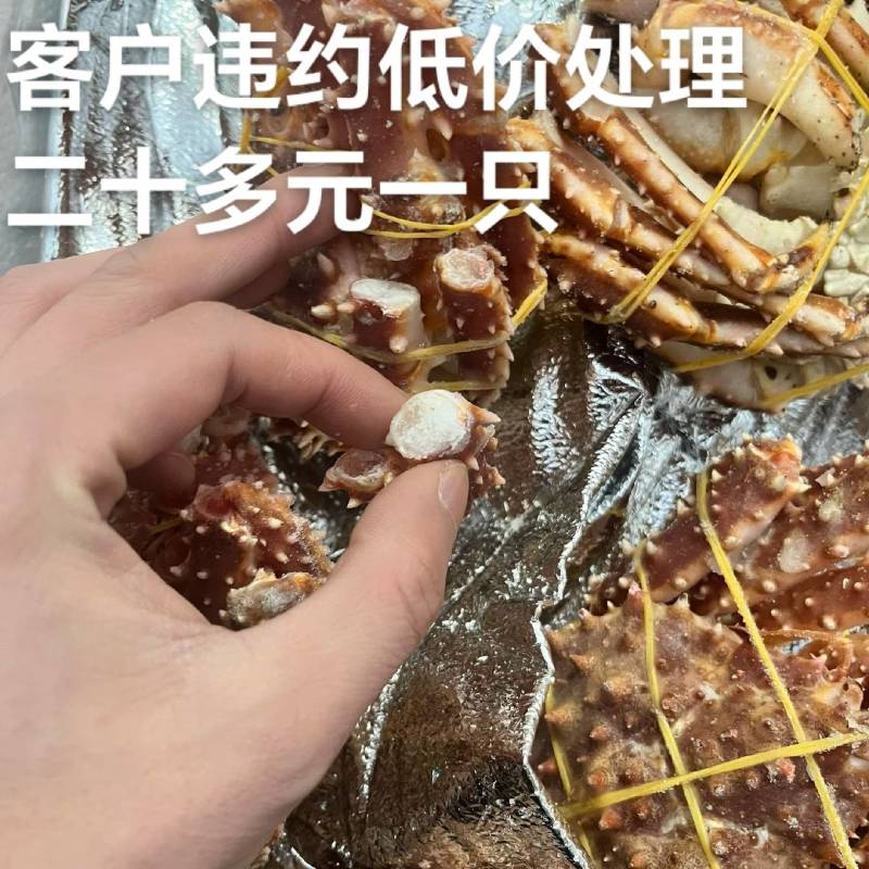 客户违约低价出帝王蟹