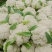 松散小米粒，雪白无黄斑，球形圆润饱满，单颗两到三斤