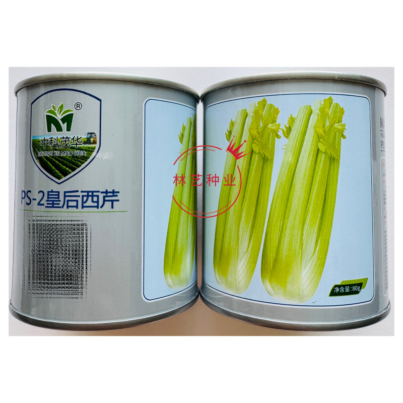 PS-2皇后西芹种子耐热耐低温早熟速生黄嫩实心芹菜香芹种