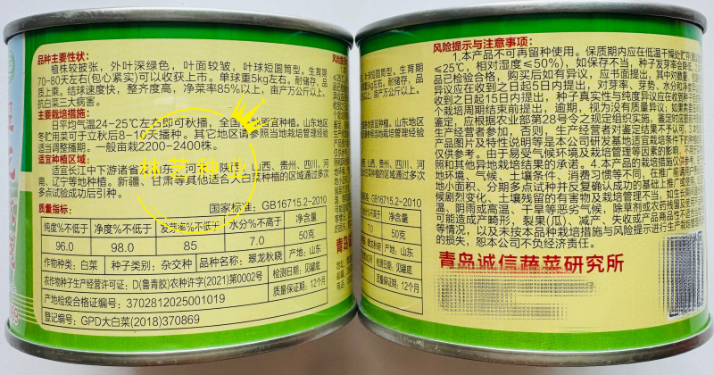 翠龙秋晓大白菜种子早熟杂交高产抗病黄心秋播冬储白菜