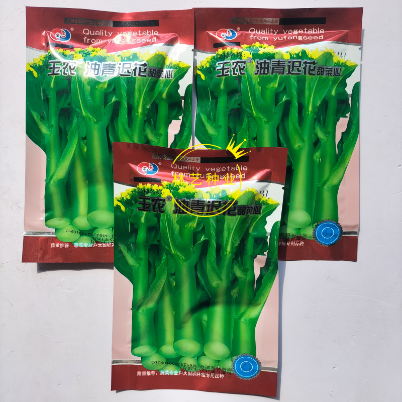 玉农油青迟花甜菜心种子耐热苔粗大翠绿质脆嫩菜苔种籽