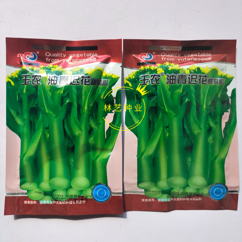 玉农油青迟花甜菜心种子耐热苔粗大翠绿质脆嫩菜苔种籽
