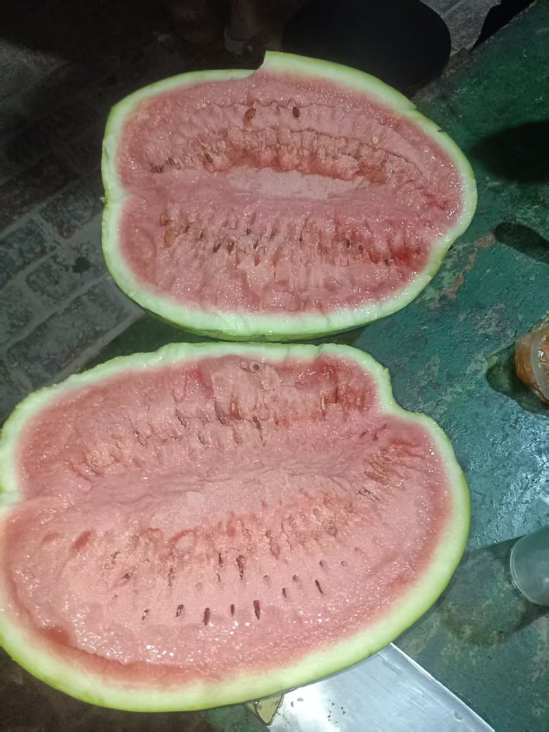 沙地的西瓜口感非常好，有需要的联系